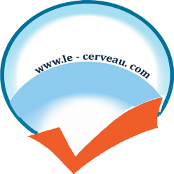 Bienvenue sur le-cerveau.com